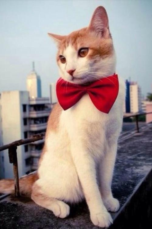 հˮϵȫͨ ˳ǡø˾