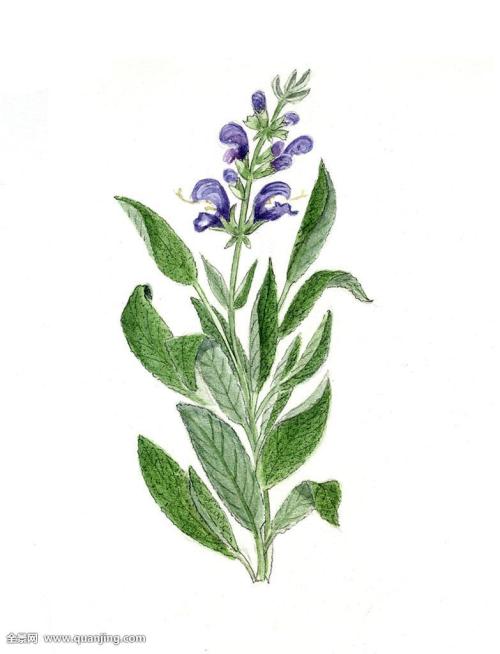 ҹȨͳһǼ202111ʵʩ